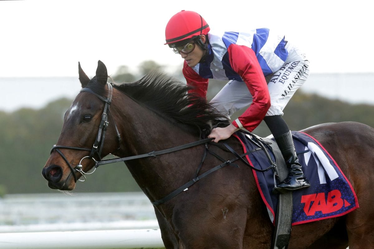 Midnight Edition superb in four-year-old debut