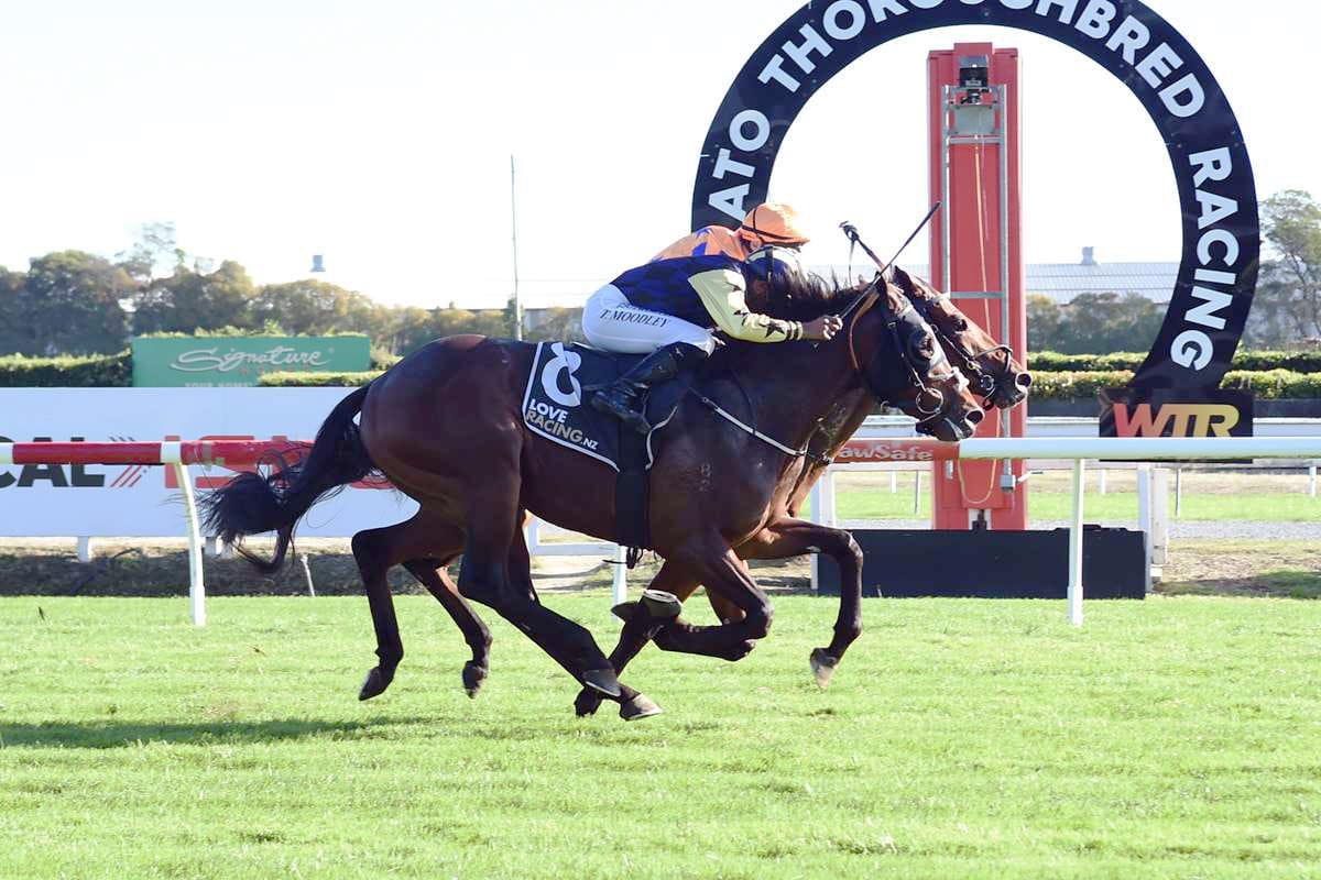 Donoghue chasing dream result in Guineas