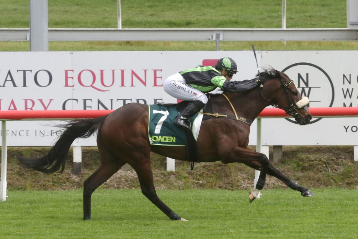 Notabad performance by New Zealand Cup hope