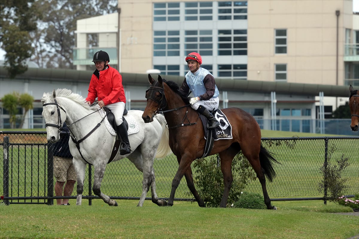 Sadhbh scores popular maiden win