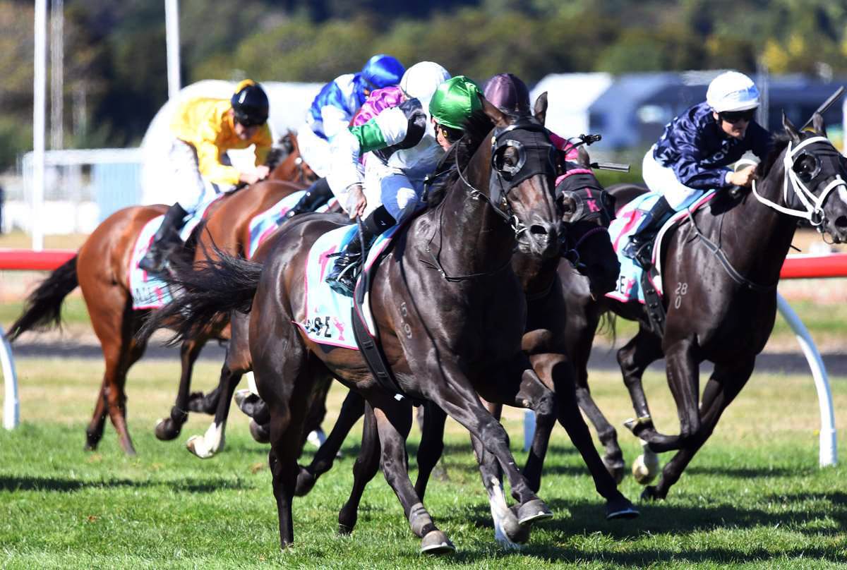 Slipper Island shooting for five-straight in chute resumption