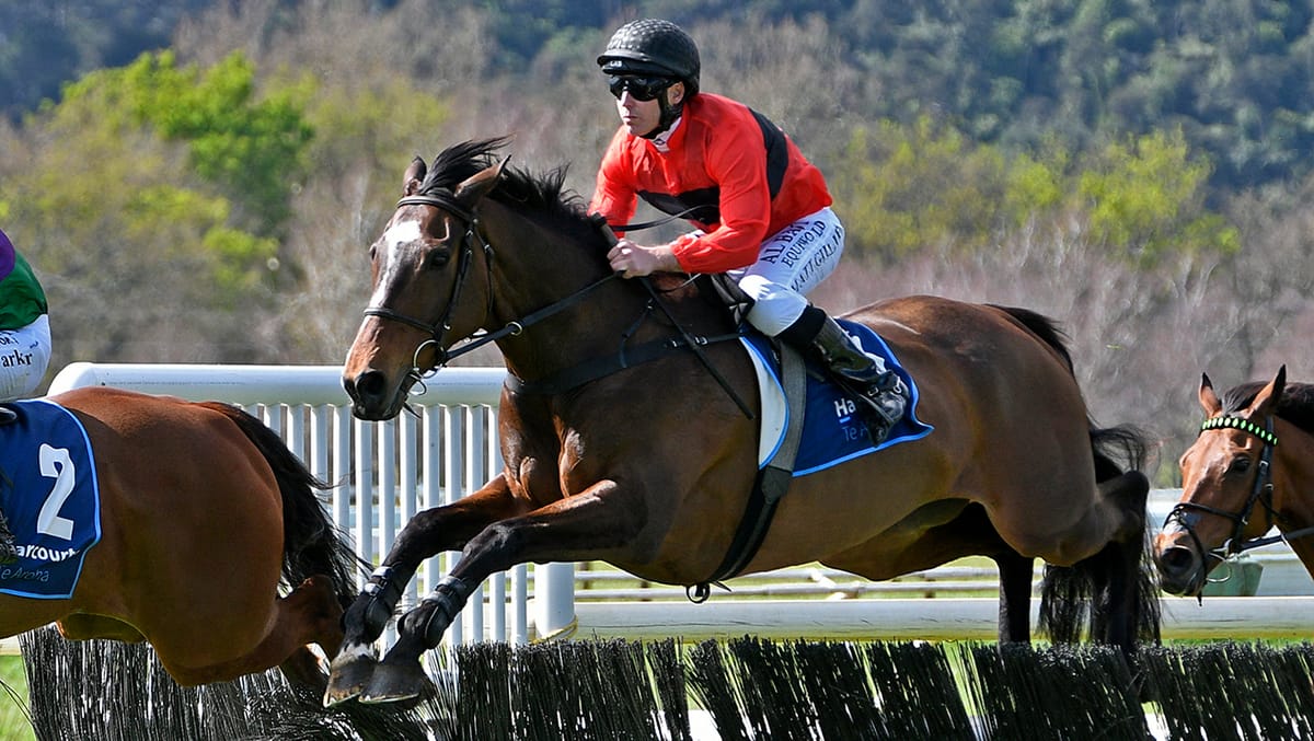 Taika extends Nelson/McDougal dominance of hurdle feature