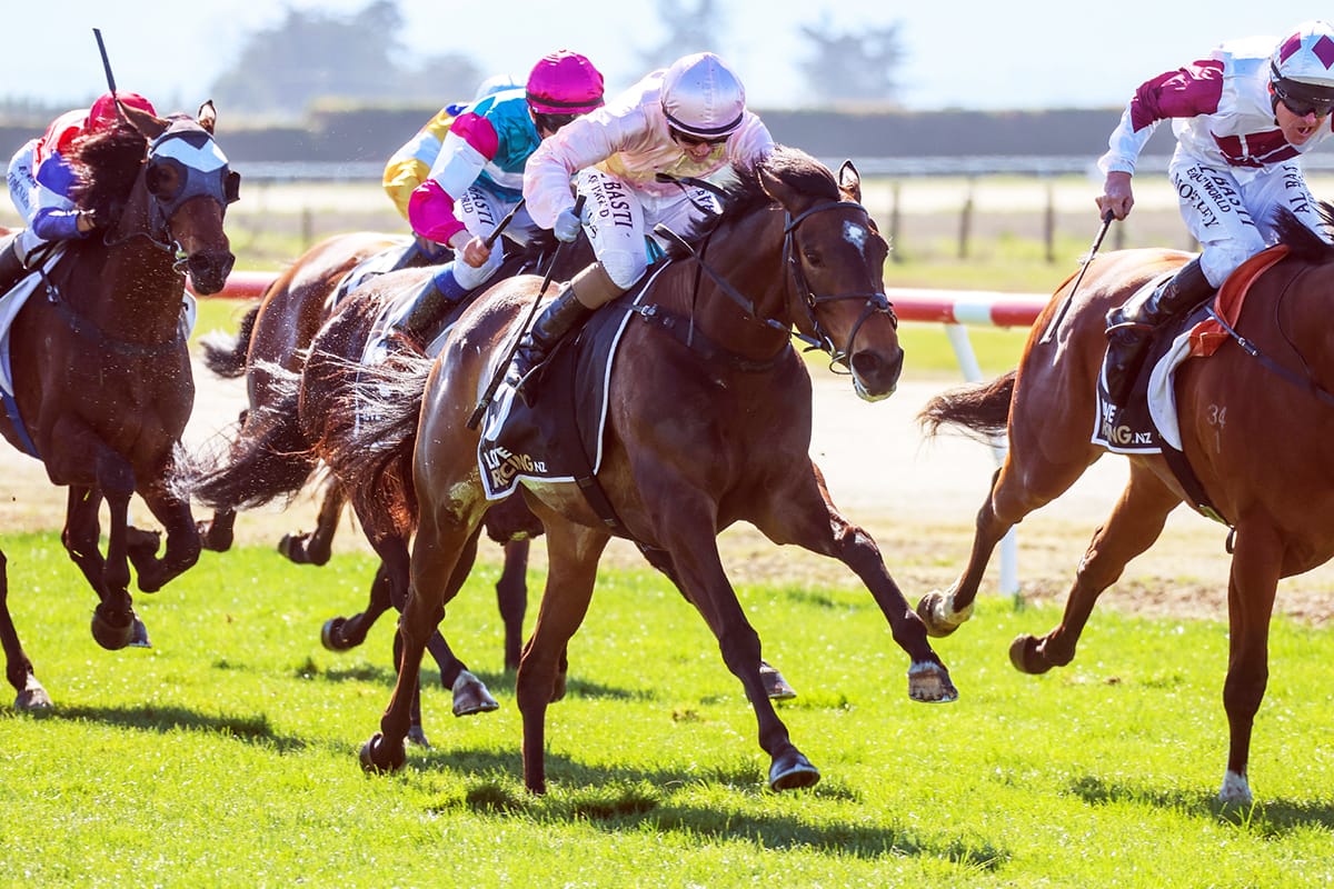 Homebred mare delivers first winner for Tuthill