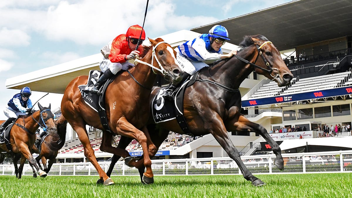 Season looking good for quality stablemates