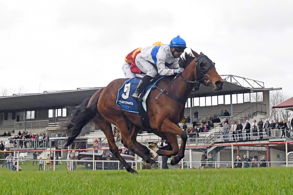 Spring campaigns taking shape for The Oaks Stud pair