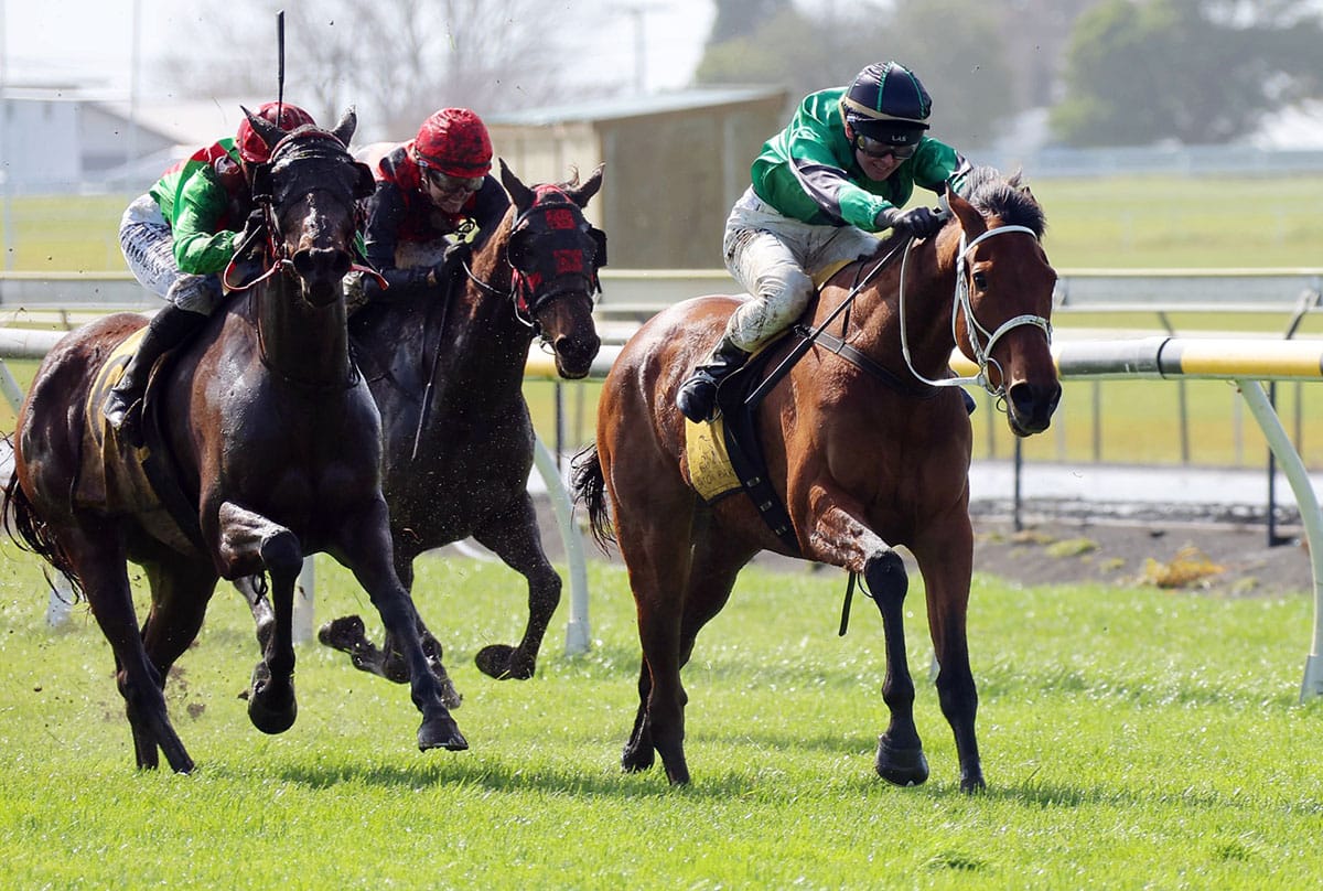 Tobias heads Dravitzki double at New Plymouth