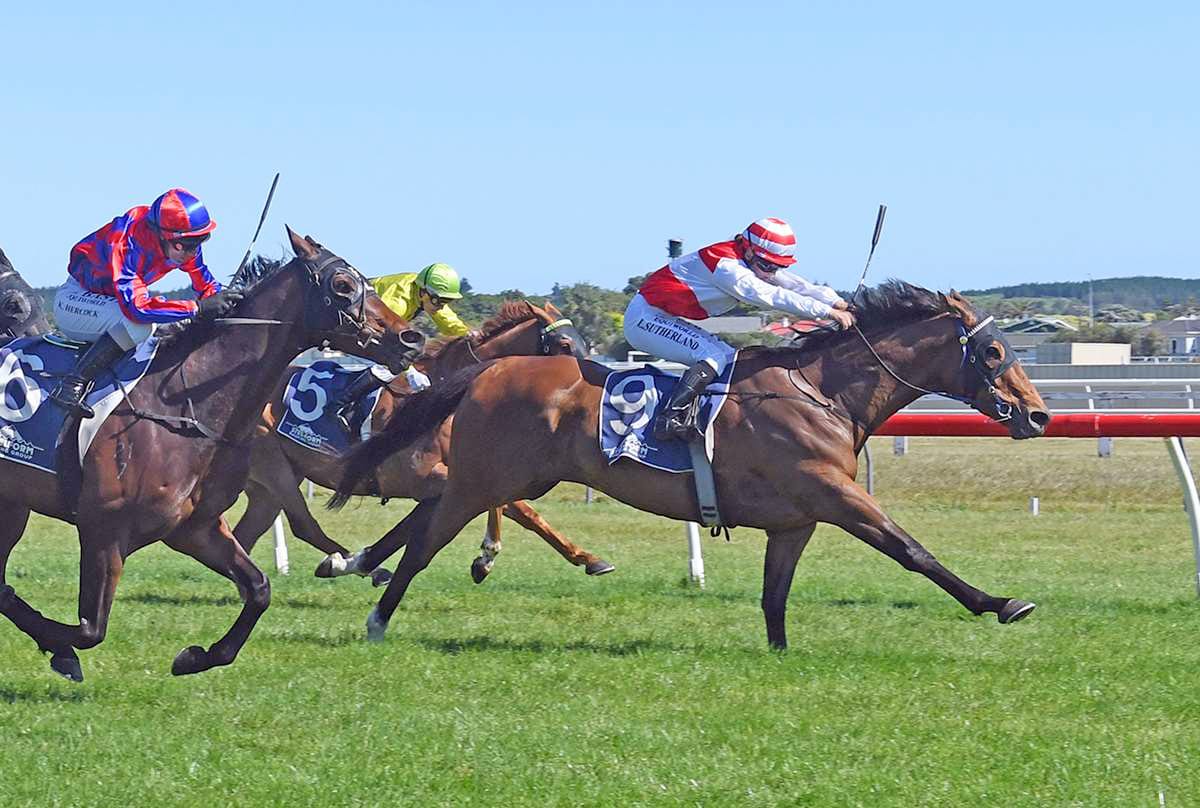 Versatile galloper ready to roll in feature mile