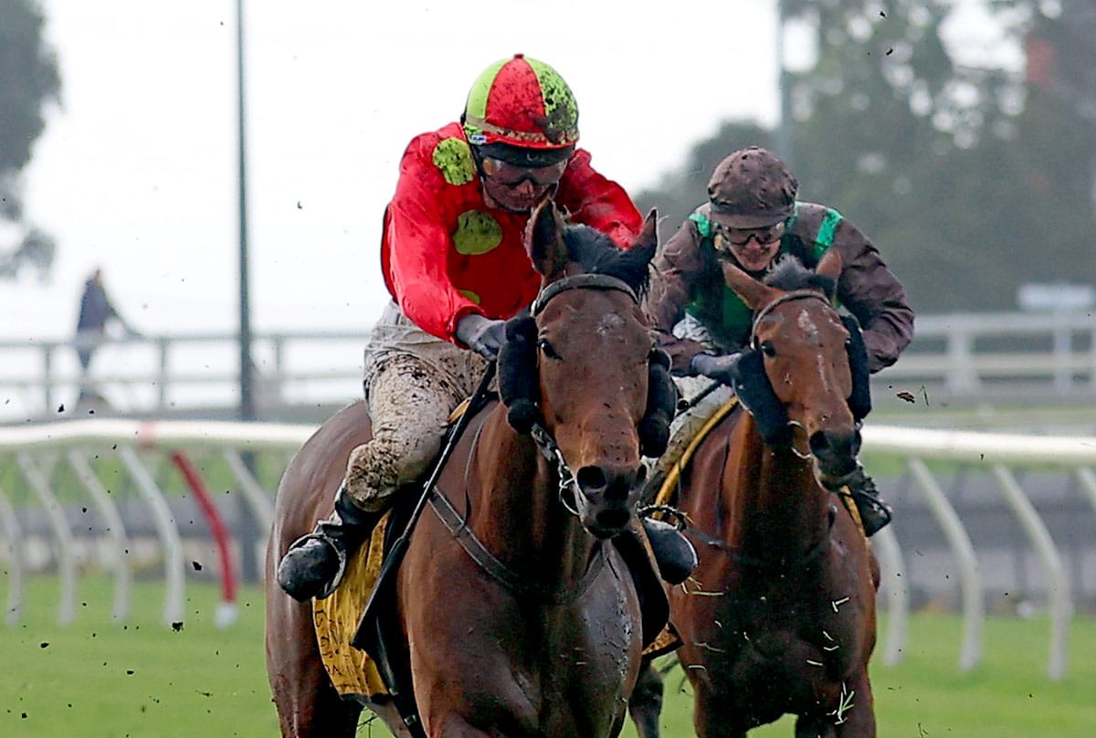 Road to Jericho continues Yolo’s resurgence