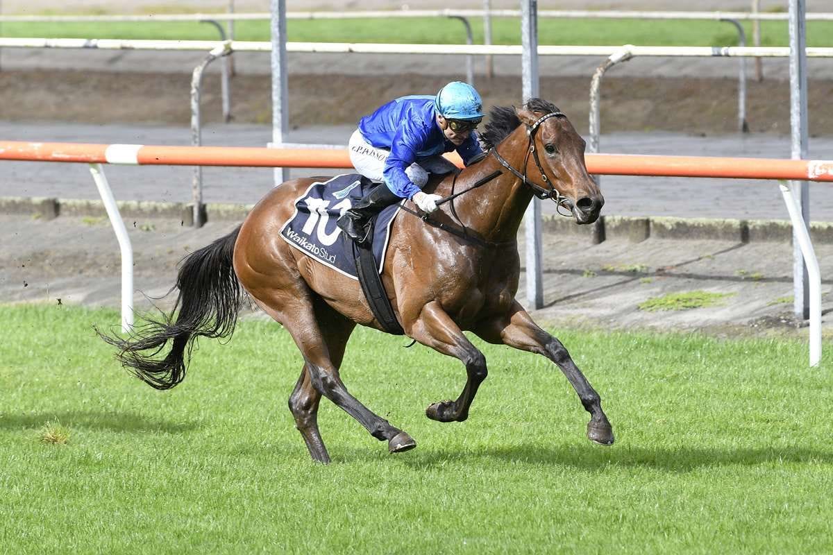 Afterglo powerful late in Matamata victory