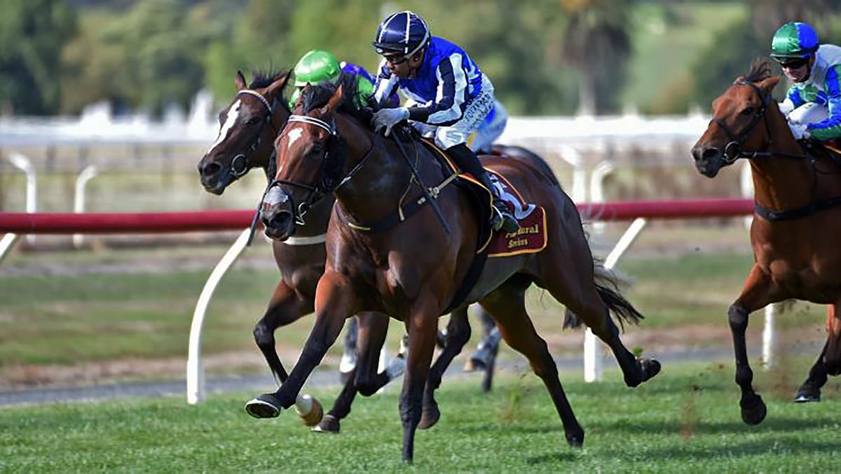 Riccarton path to be confirmed for talented Electron