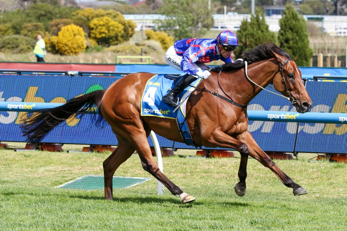 Cox Plate next for Globe?