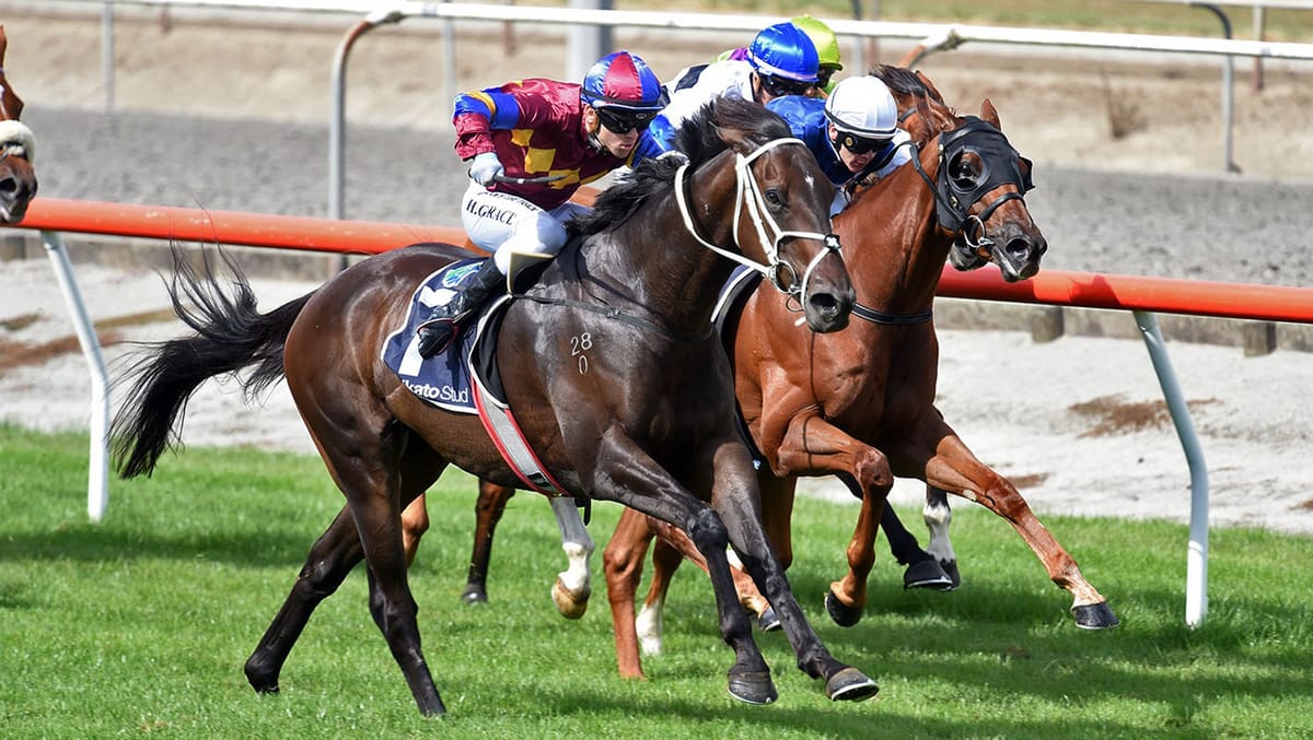 Herbert ready to strike back in class