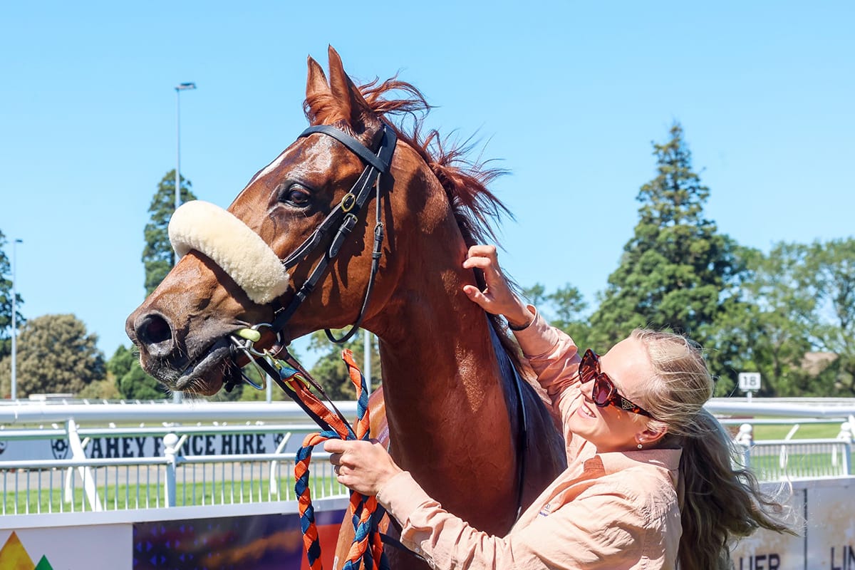 I’m A Dirty Rascal on target for New Zealand Cup