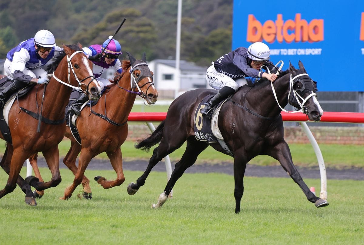 Fresh Ima Brazen One defies chute record