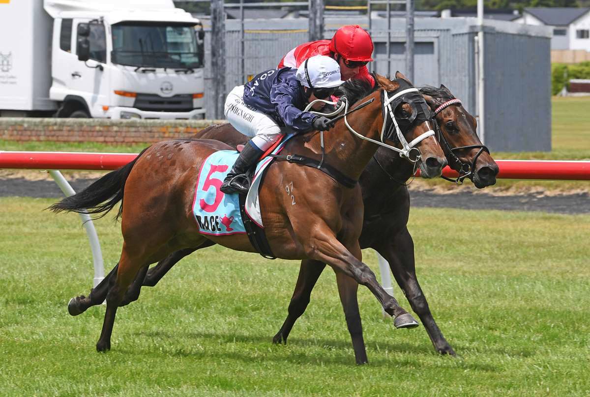 All roads lead to Riccarton for Intention