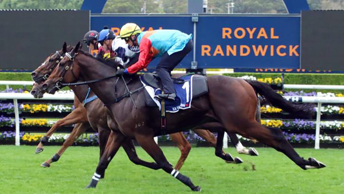 Ka Ying Rising ready to rumble