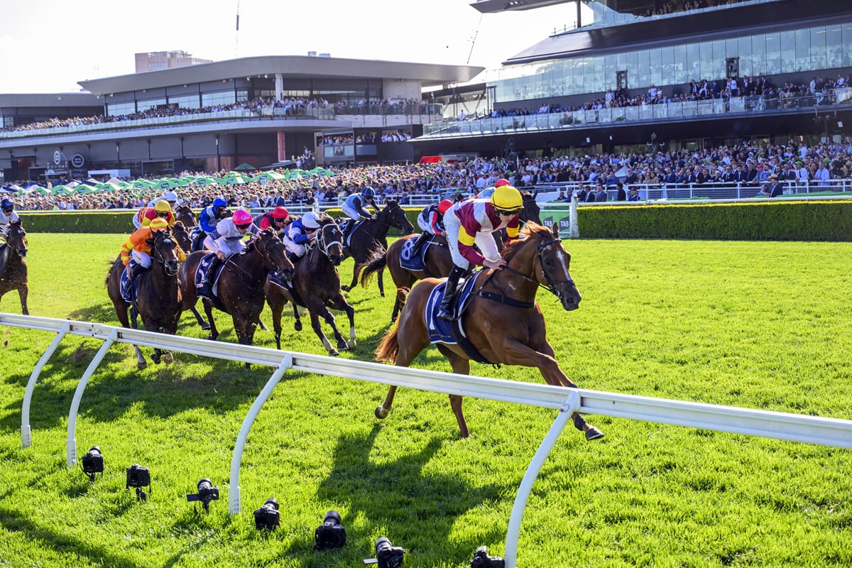 Brilliant Linebacker heads Kiwi quinella in Silver Eagle