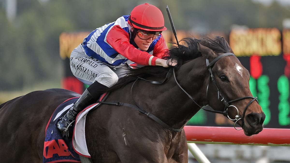 Wallbank’s horse of a lifetime up for Sweynesse challenge