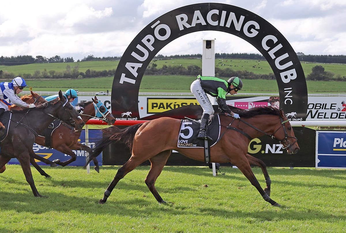 Poverty Bay Cup caps triumphant comeback for Pacheco