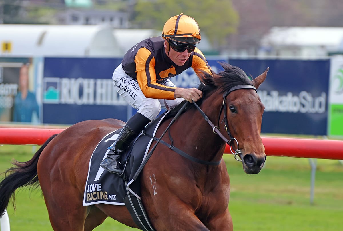 Promising filly taking Van Dyk places
