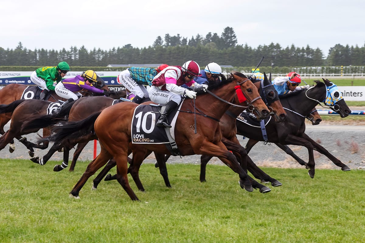 Queen Of Kings wins Ashburton thriller