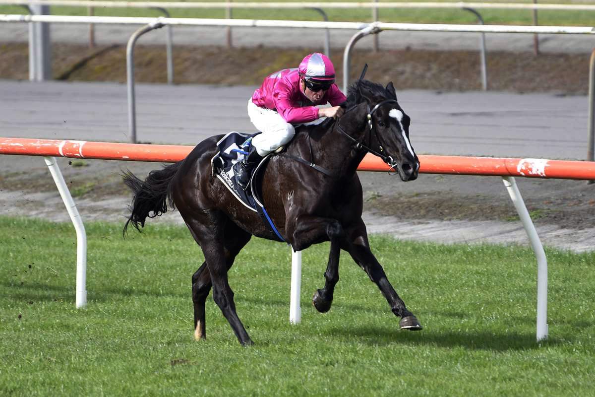 Sarten duo headlines busy weekend for Forsman