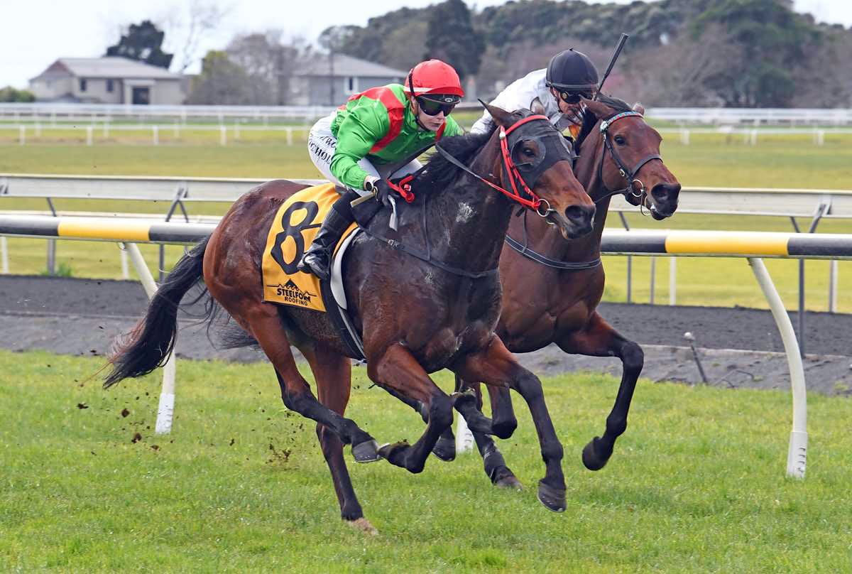 In-form stable eyes further success at Matamata