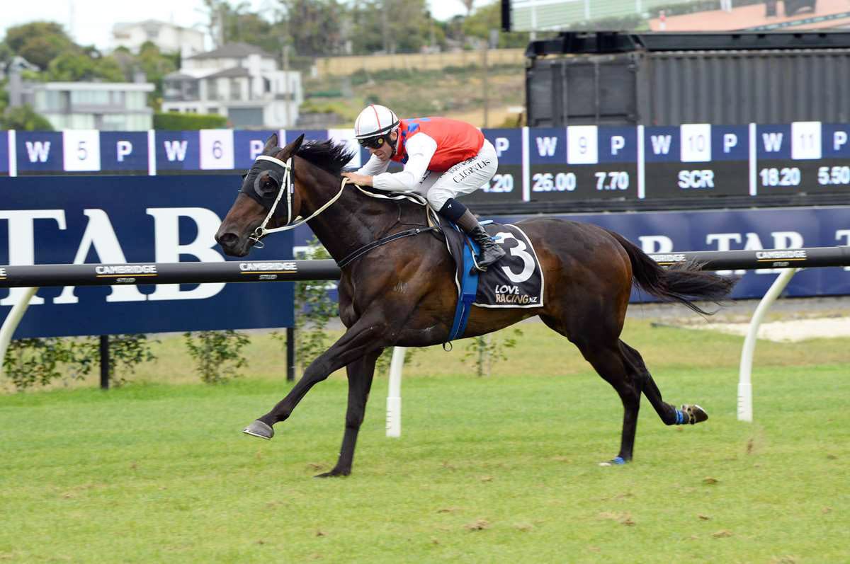 Sailor Jack pleases in home track trial