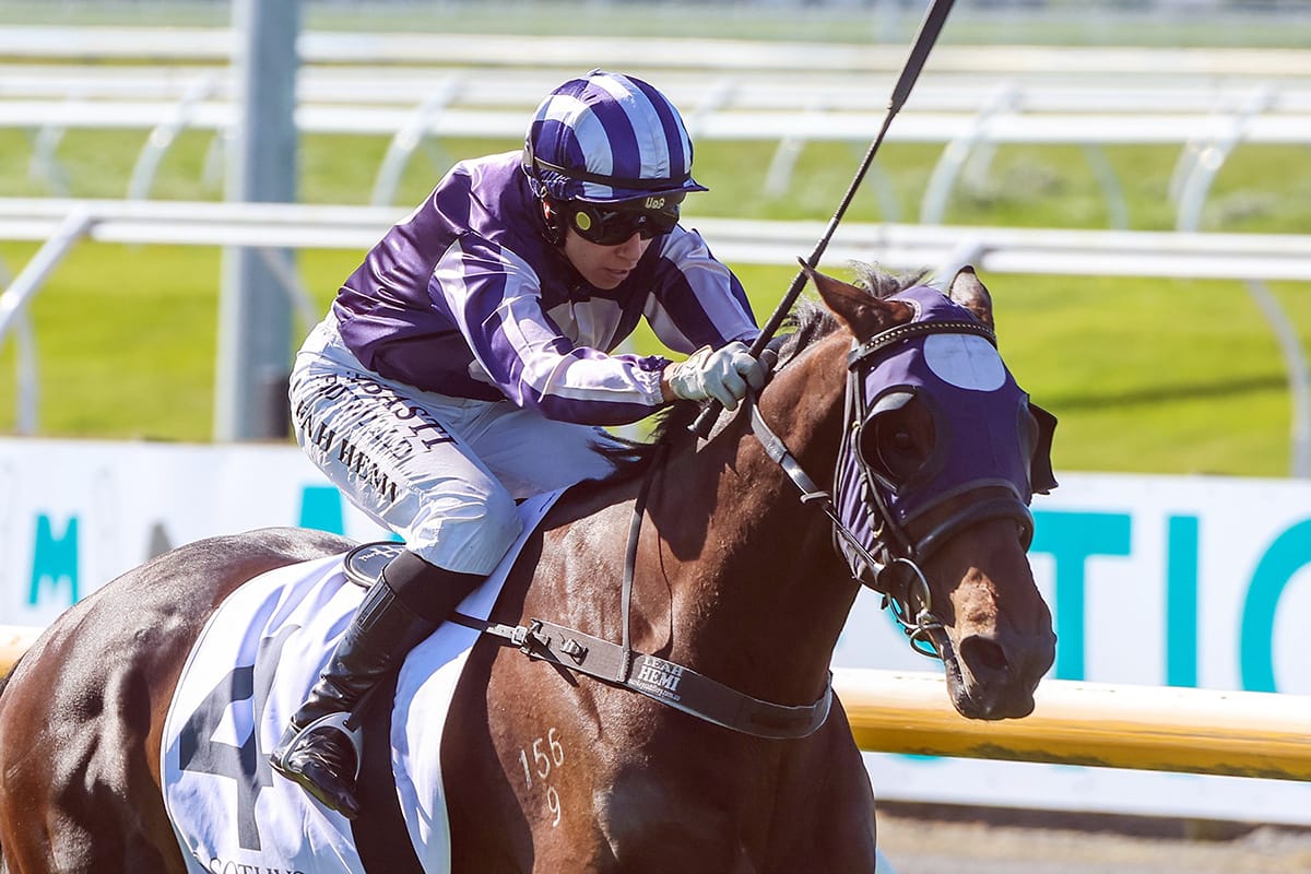 Leading nursery celebrates on four weekend fronts