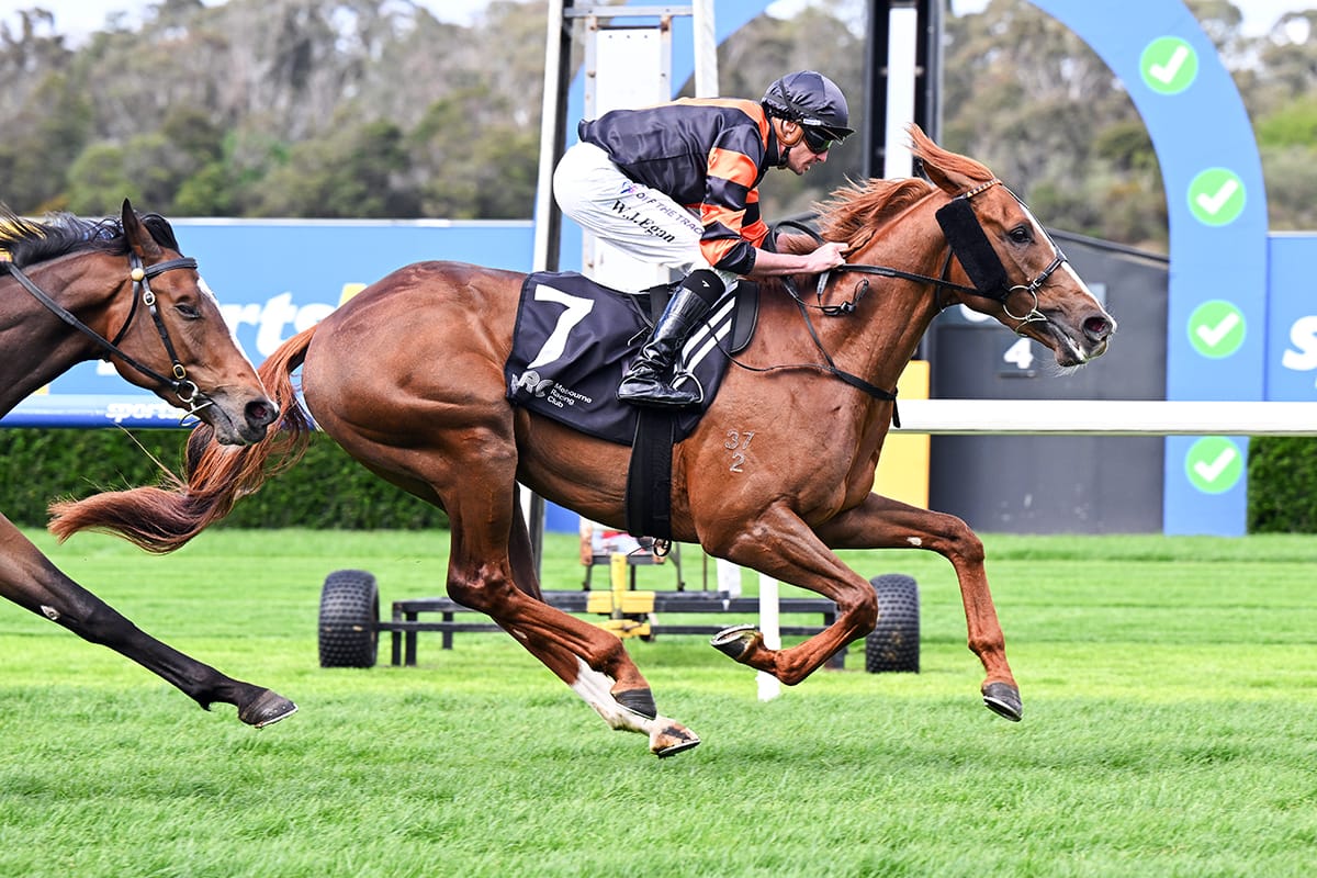Sulek surges to Sandown success