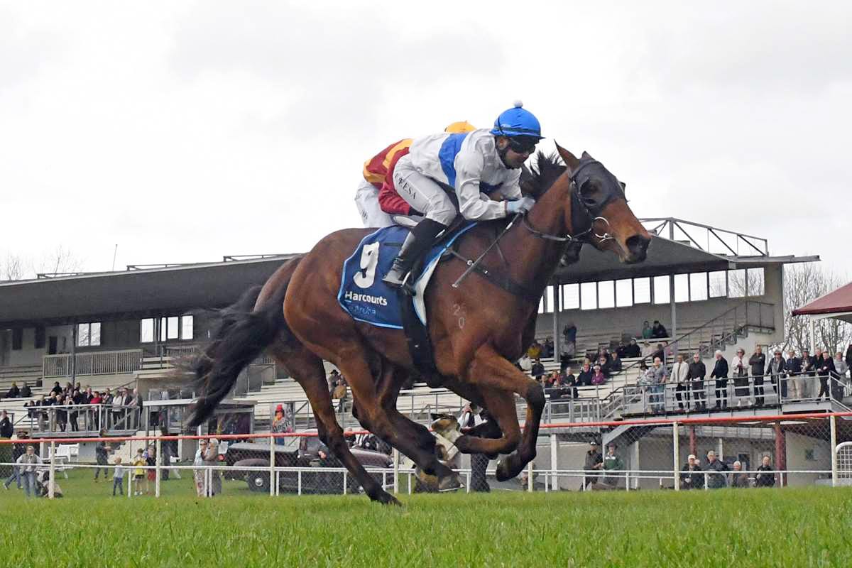 Cambridge partnership hunting Jericho Cup berth