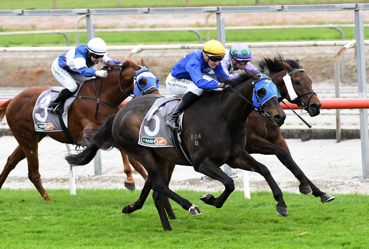 Melbourne Cup tilt over for Wolfgang