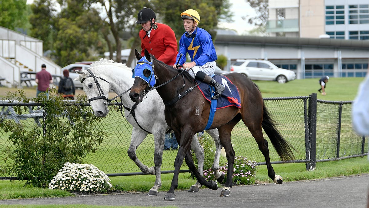 Wolfgang on target with Plan B