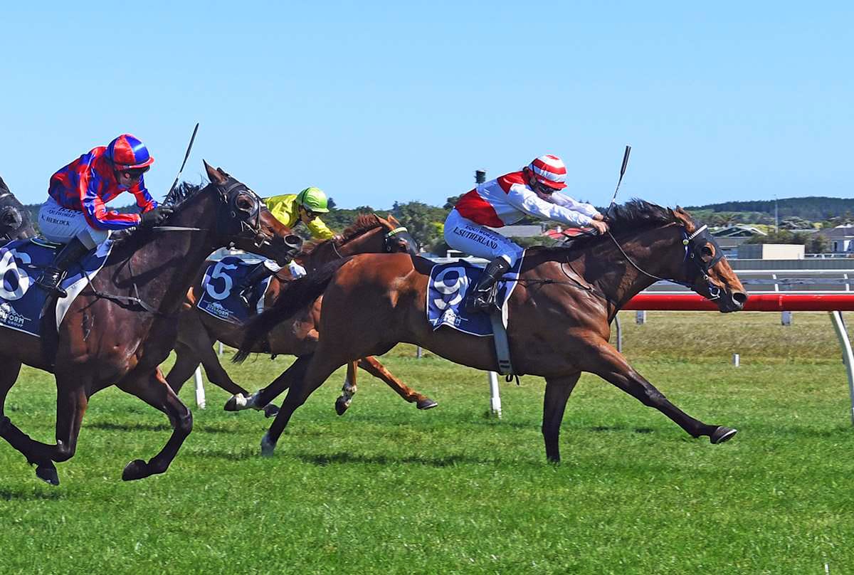 Trentham to decide future paths of stablemates