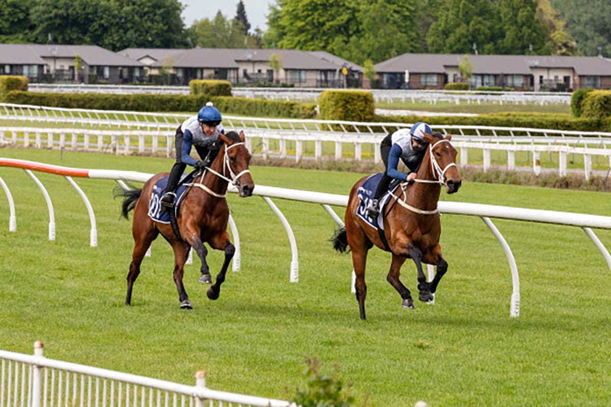 Stage Set For 2025 Breeze Ups