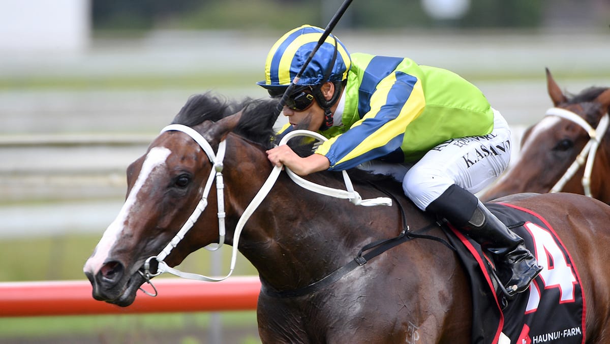 Ardalio sets up stakes-winning farewell for Asano