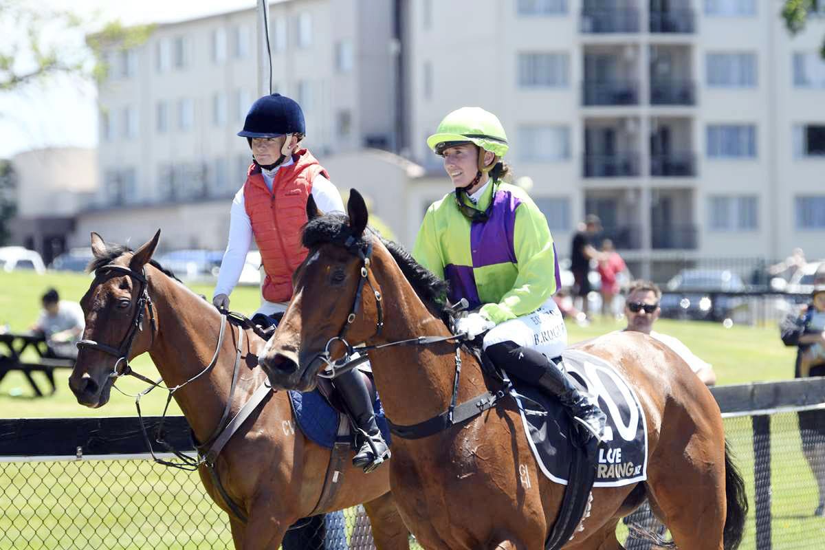 Rogerson in ICU following Rotorua fall