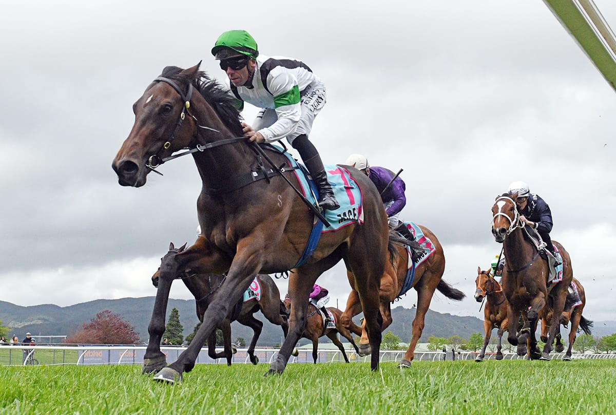 Sweet filly in tip-top order for Group One test