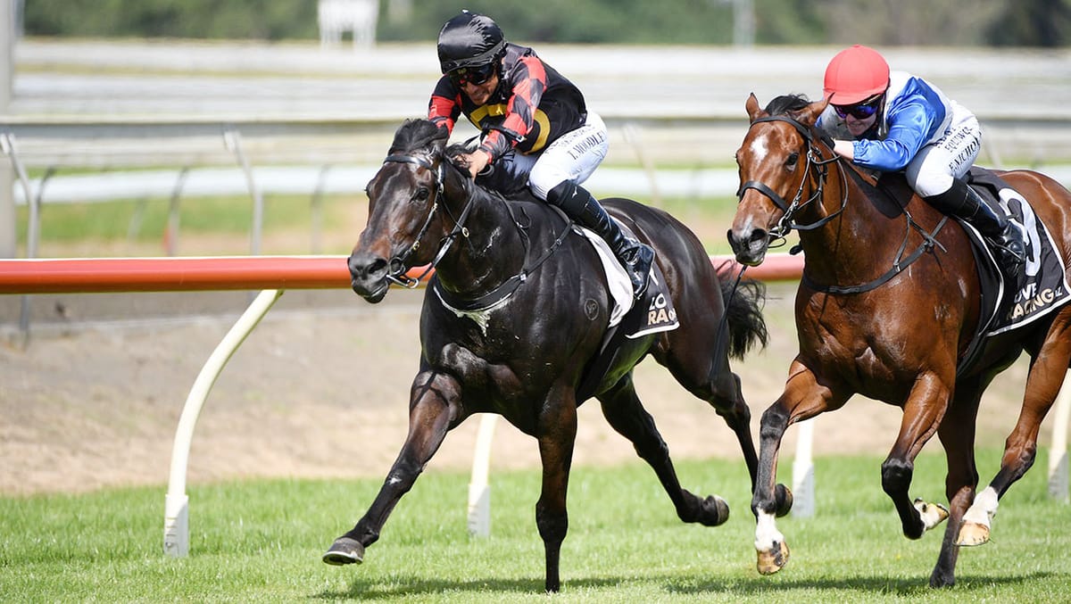 Force Of Nature collects stakes success at Pukekohe