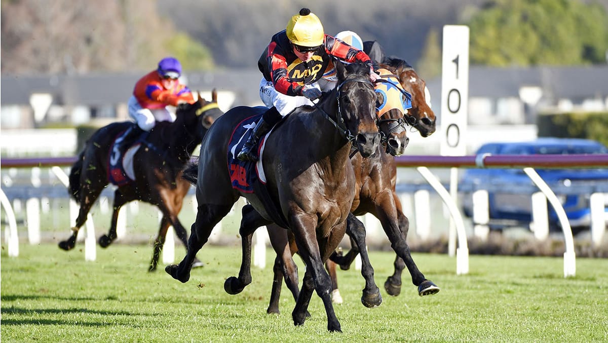 Force Of Nature chasing sprint feature