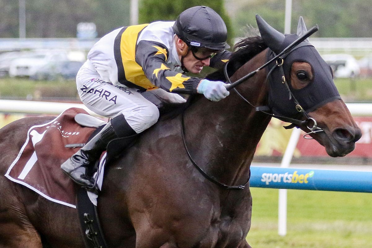 Prolific winner Here To Shock snares another