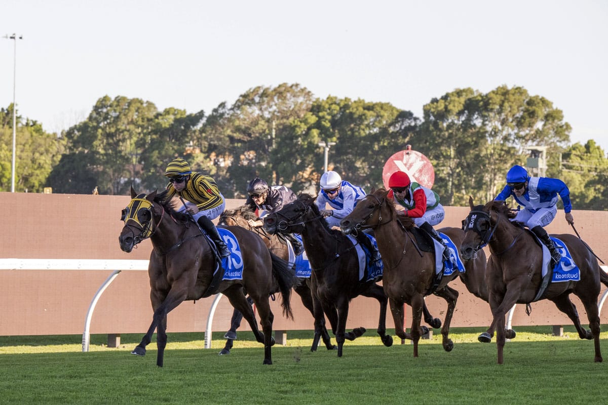 Hyperbolic delivers emphatically at Rosehill