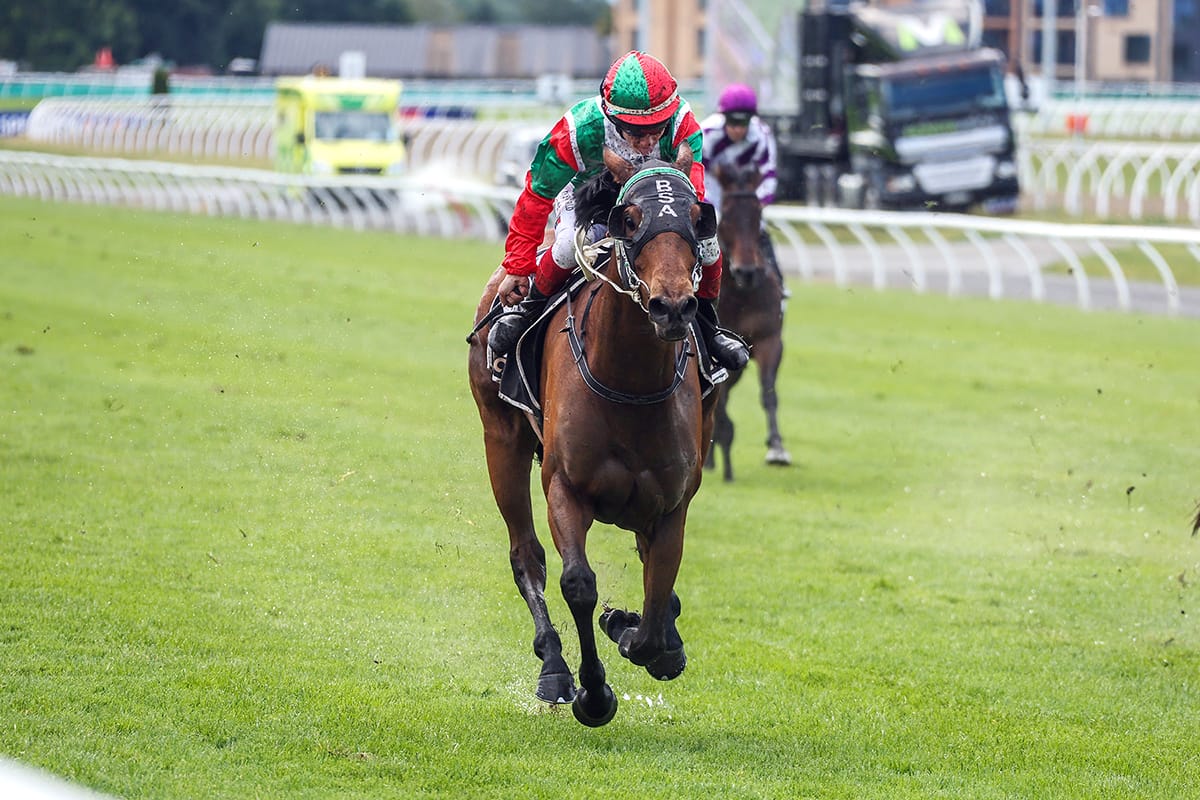 Southern mare strikes gold at Riccarton