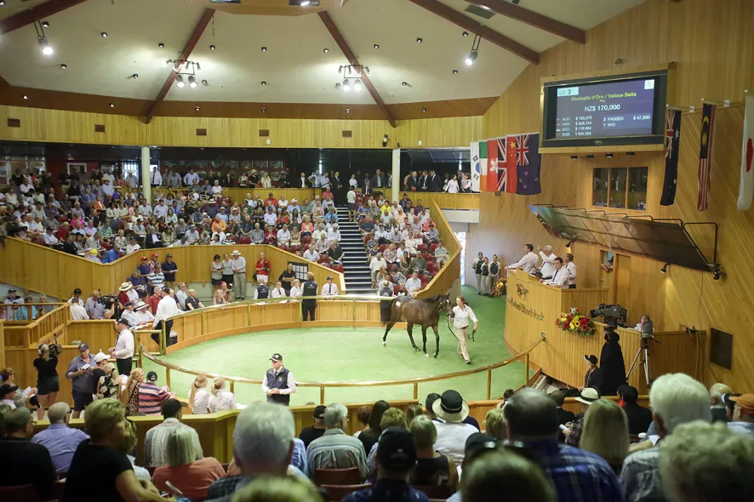 Malaysian buyers make impact at Ready to Run Sale