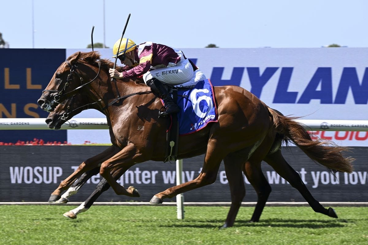 Spring carnival over for Linebacker