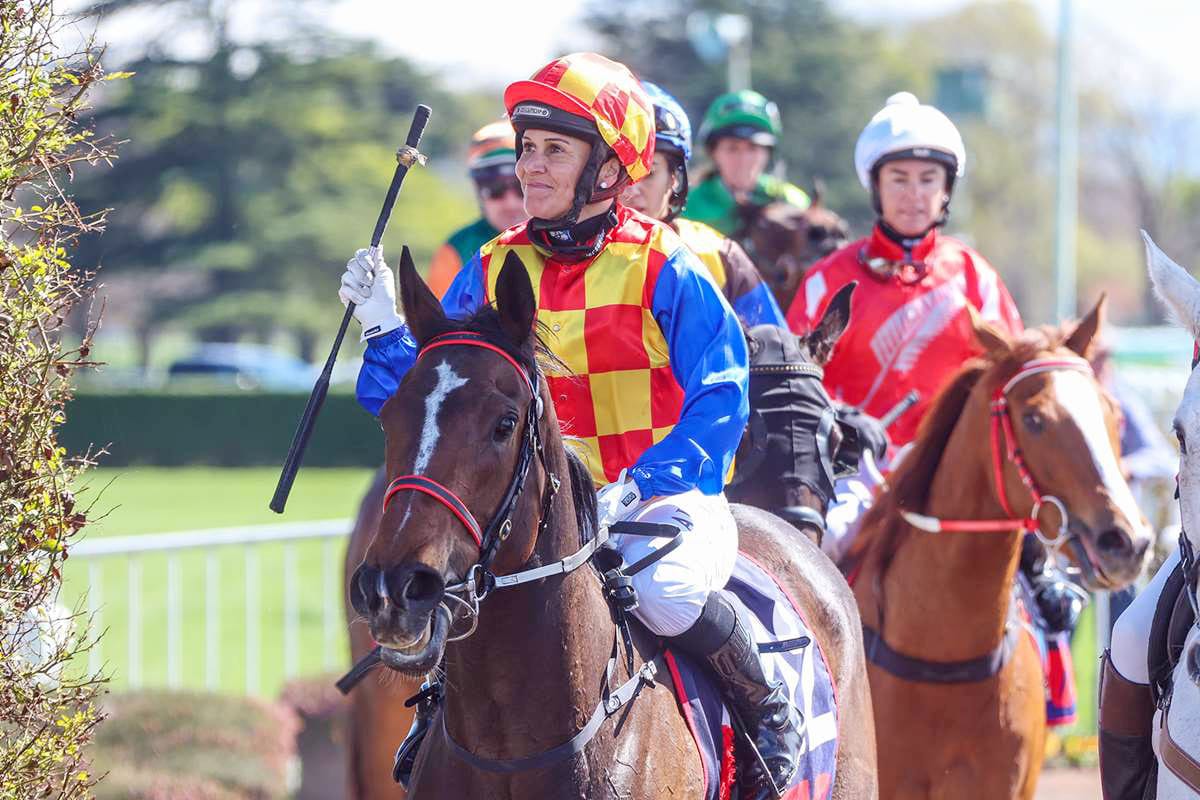 Southern filly enjoys winning Guineas preparation