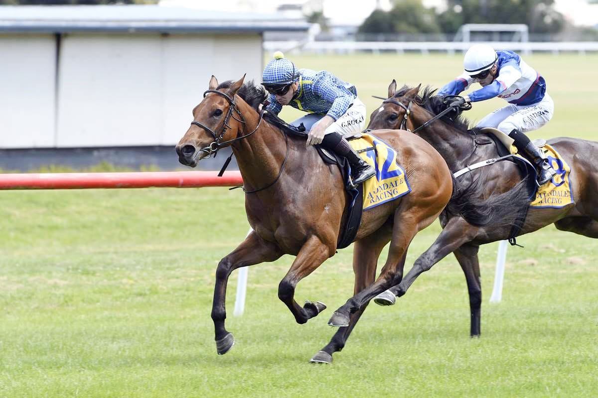 Road To Derby for Paris