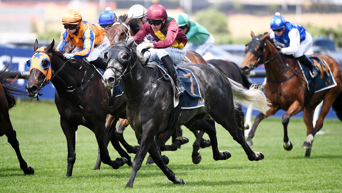 German scores Steely victory at Ellerslie