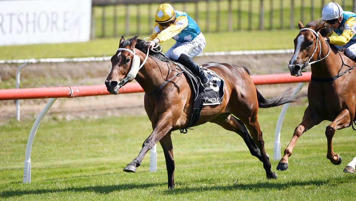 Stable chasing Group One clean sweep