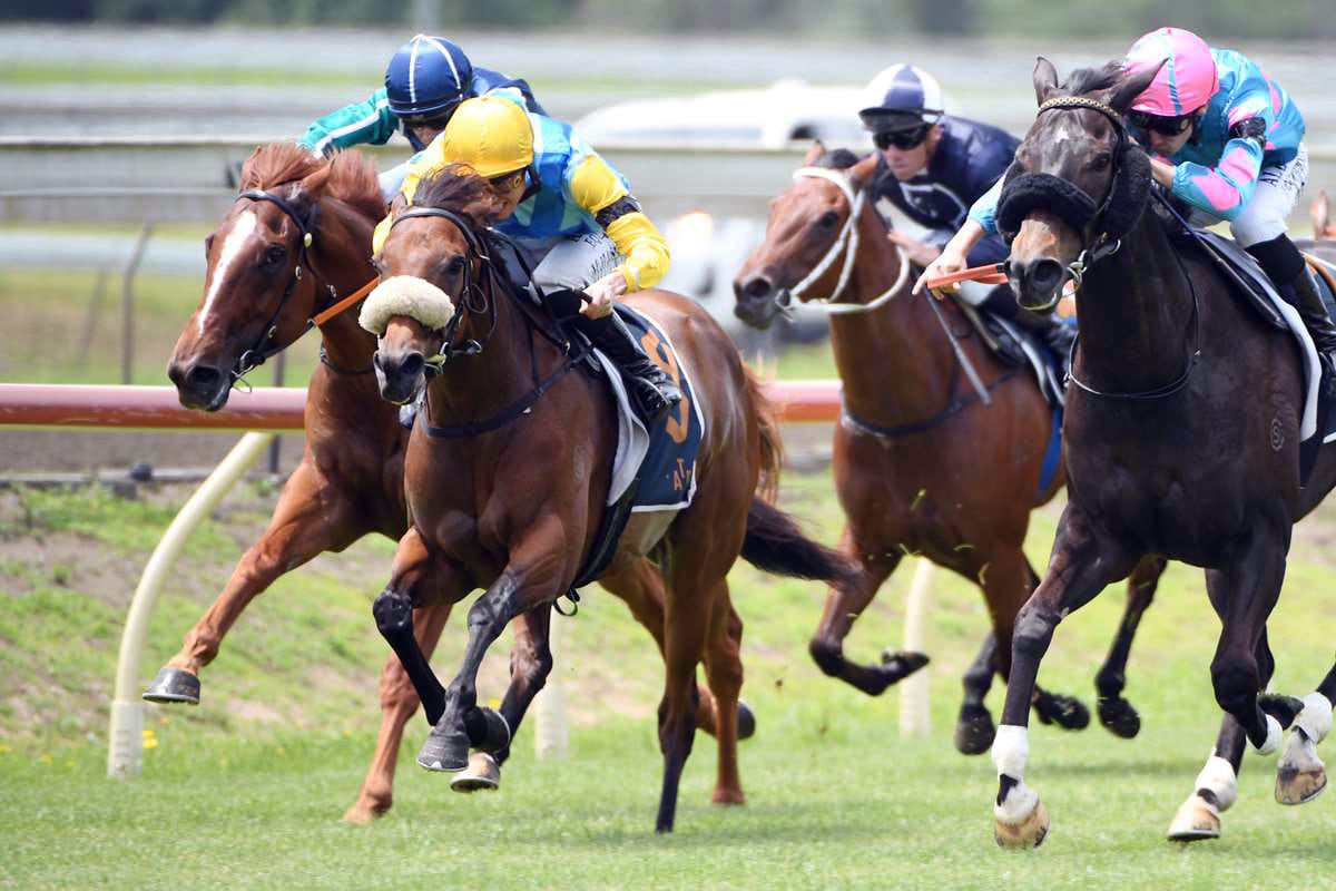 Boxing Day targets for Clotworthy pair